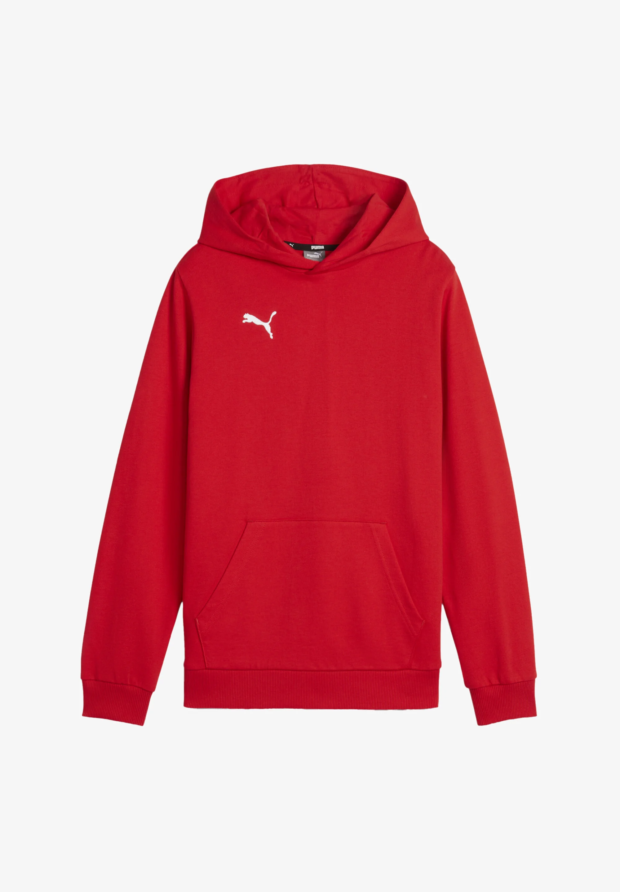 Puma TEAMGOAL - Sudadera con capucha