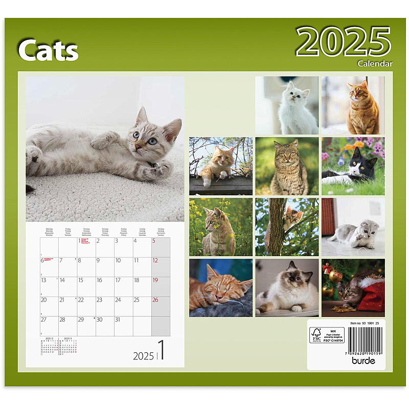 Veggkalender cats 2025