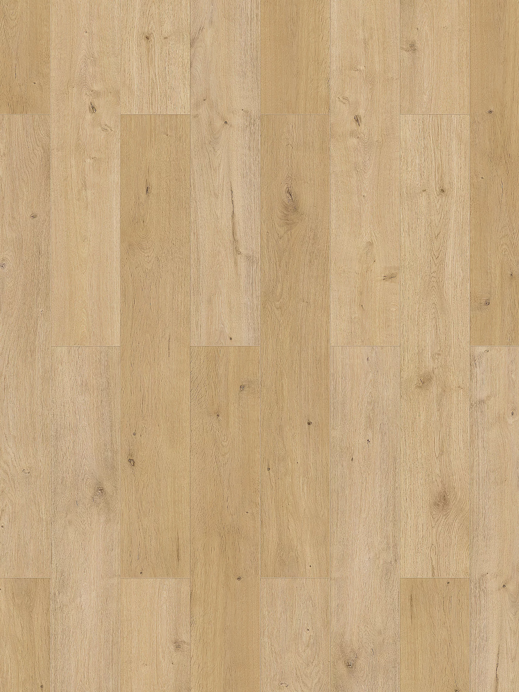 Natura Klick-Laminat, Monument Oak 65557