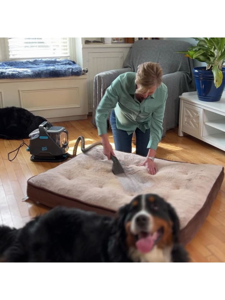 Livington - Fleckenreiniger - 3in1 Bürste Spot Blast in Ohne Farben günstig kaufen onesize