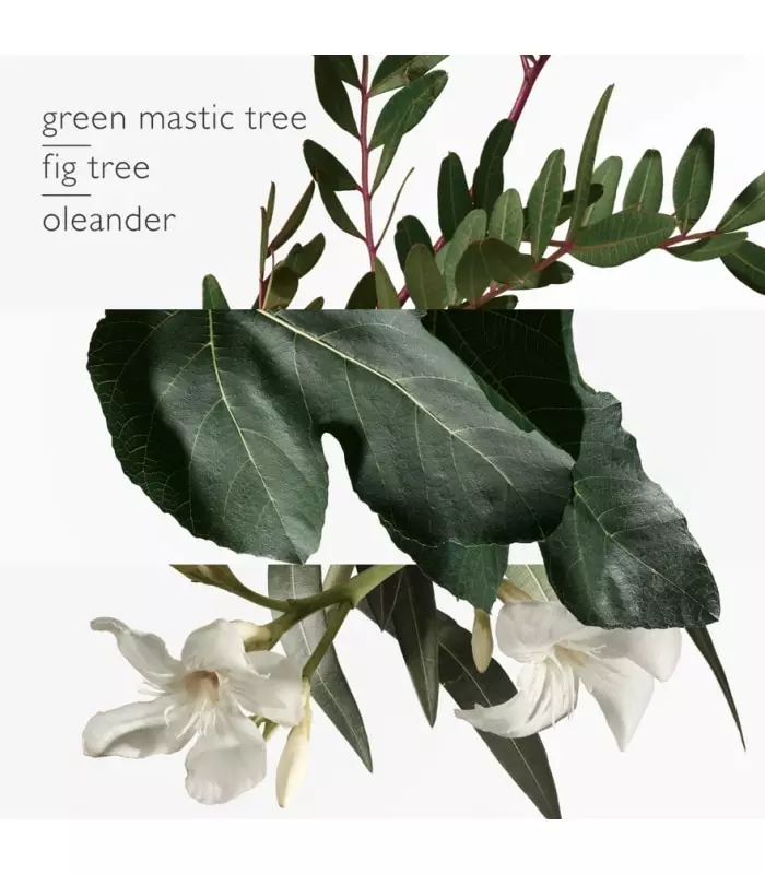 UN JARDIN EN MÉDITERRANÉE Eau de Toilette Vaporisateur