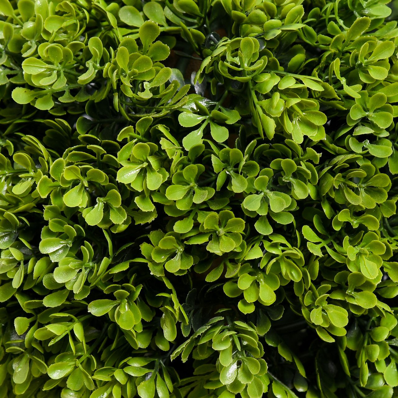 HOMCOM Künstliche Pflanze, Kunstpflanze, 90 cm Buchsbaum im Blumentopf, Hellgrün