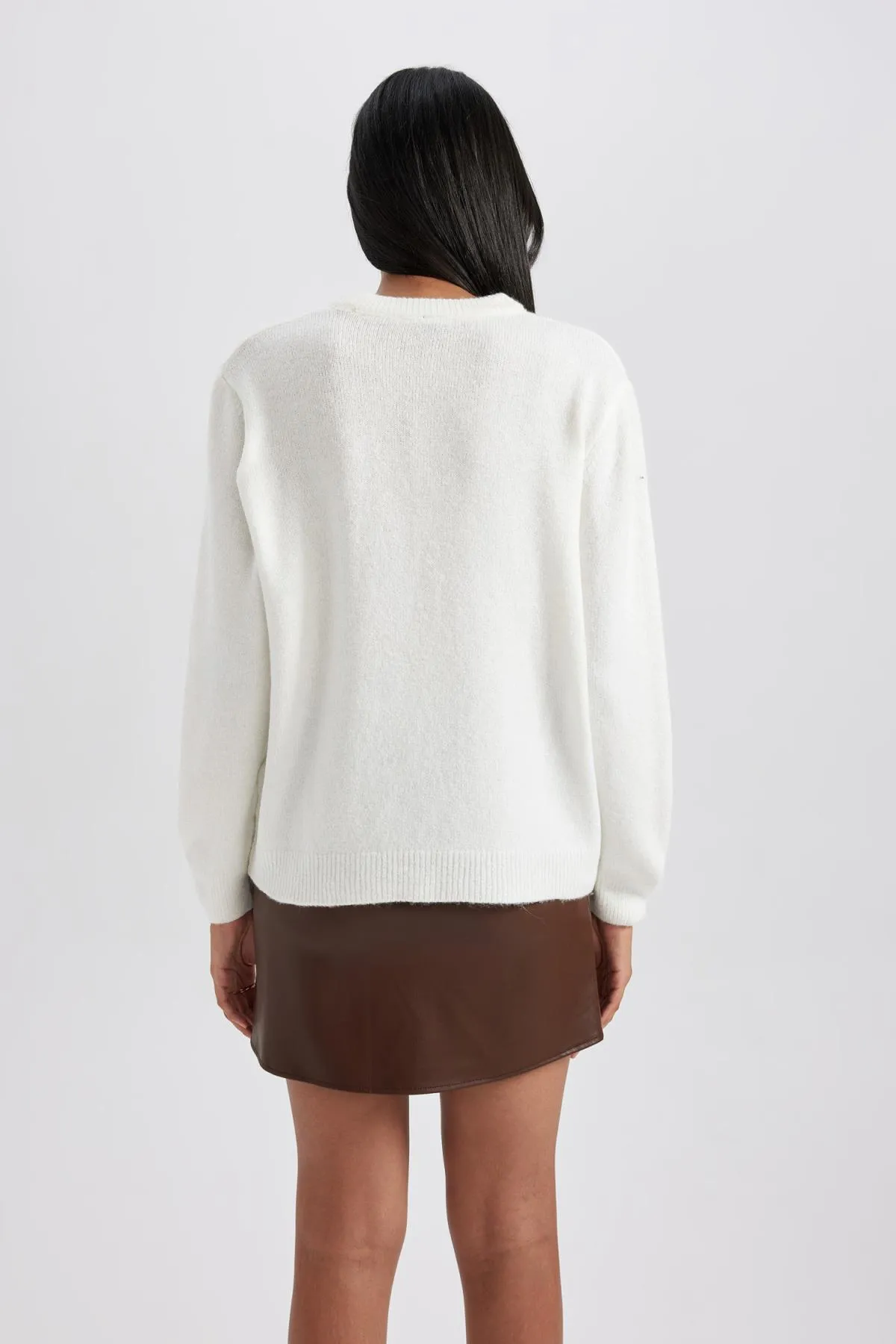 DeFacto  Pullover mit Rundhalsausschnitt und normaler Passform A9500ax23wn