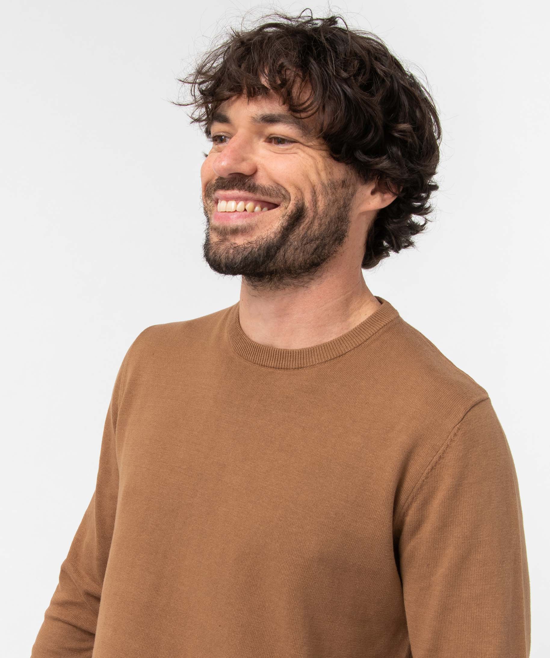 Pull homme à col rond en coton beige fonce | GEMO