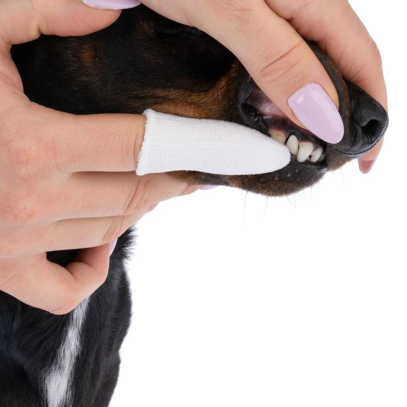 kooa Zahnpflegefinger zu TOP-Preisen