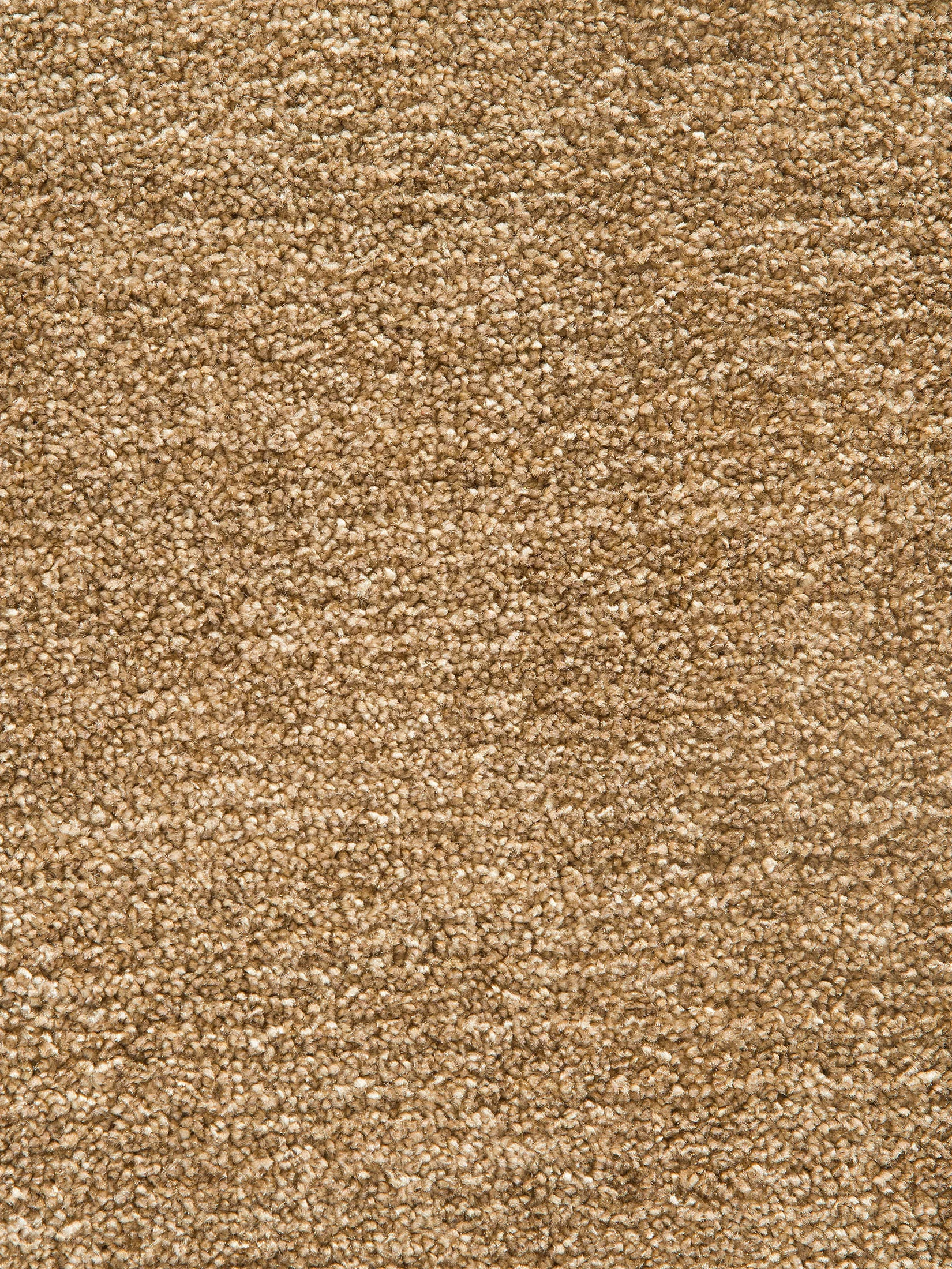 Barinas Hochflor-Teppich, Sand
