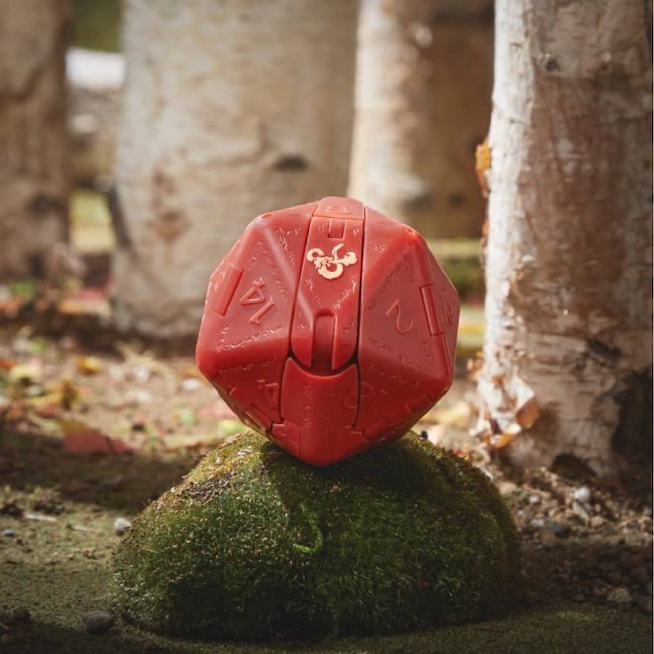 Dungeons & Dragons L'Honneur des Voleurs rouge