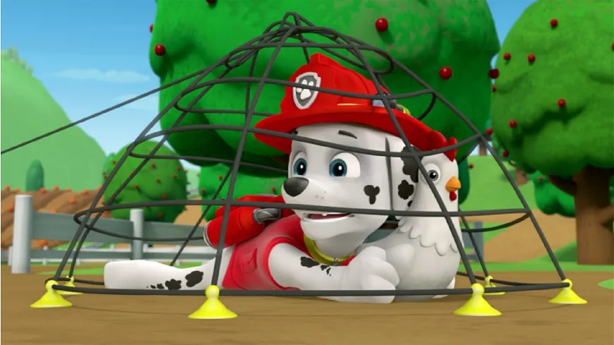 Paw Patrol: Die Fellfreunde lösen ein Rätsel