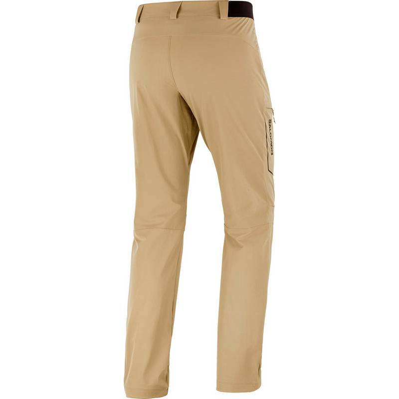 Salomon WAYFARER Wanderhose Herren