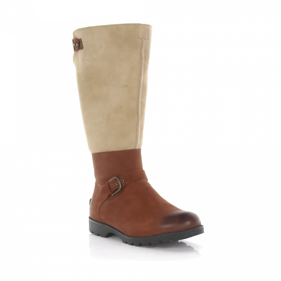 UGG - Stiefel DALEANE Kalbsleder Schafsleder Zierschnalle beige braun - braun
