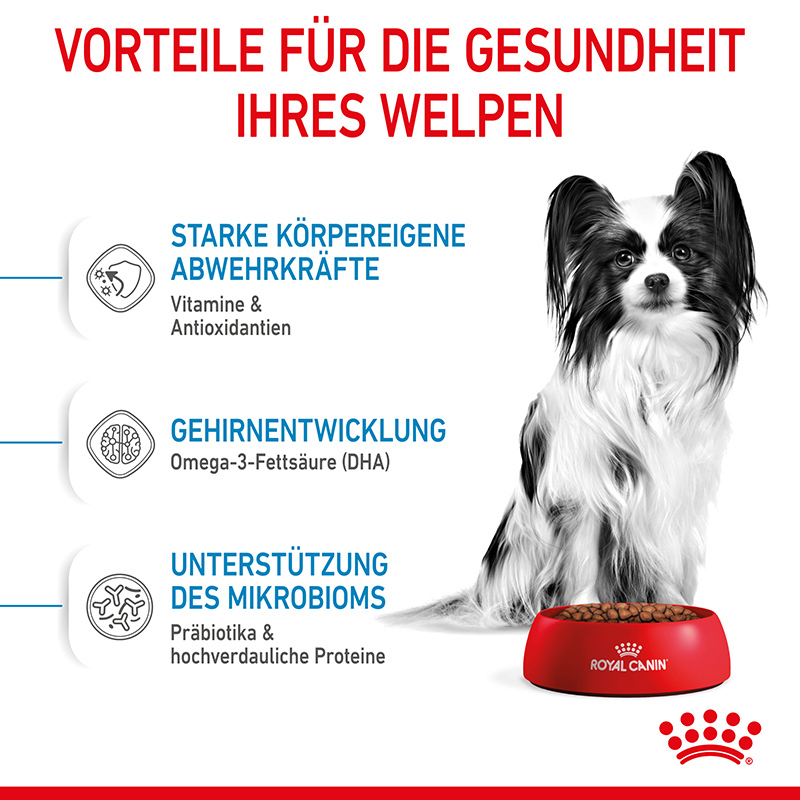 ROYAL CANIN Hundetrockenfutter ROYAL CANIN X-Small Puppy 2x3 kg