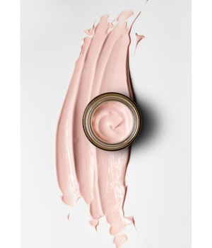 KORRES White Pine Belebende Feuchtigkeitscreme SPF20 Tagescreme-40 ml