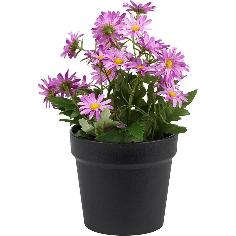 Home Margeritt 27 cm