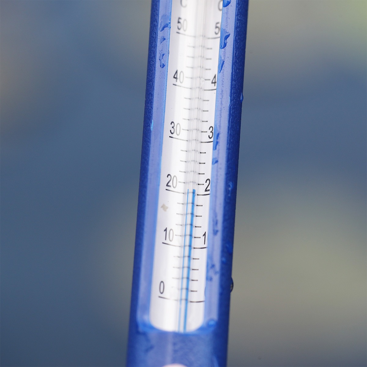 JBL Pond Schwimm-Thermometer günstig kaufen
