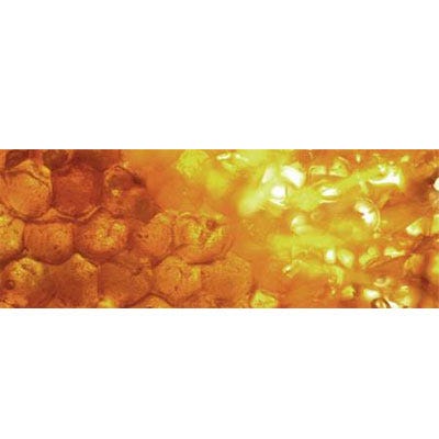Sebastian Cellophanes Honeycomb Blond 300 ml
