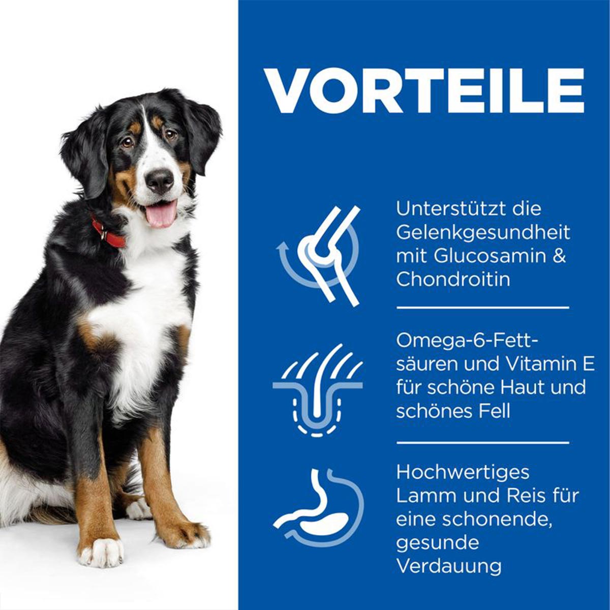 Hill's Science Plan Hund Large Breed Adult Lamm & Reis 14kg