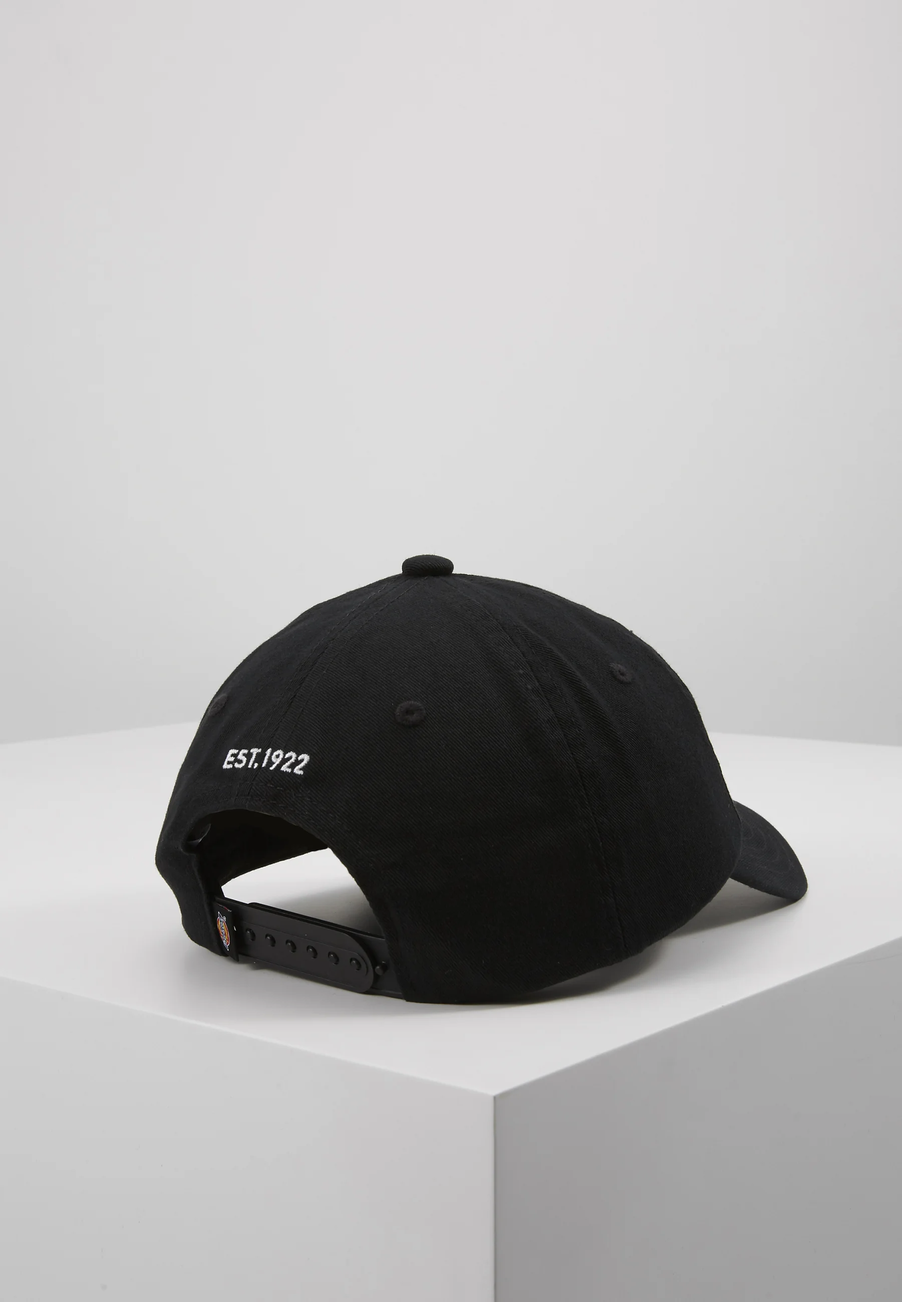 Dickies HARDWICK UNISEX - Gorra
