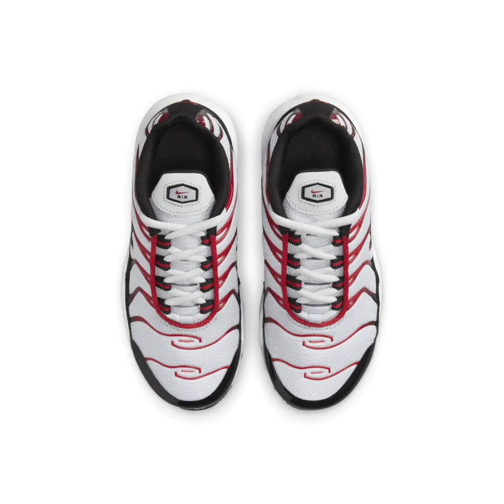Nike Air Max Plus CD0610-027 / grau