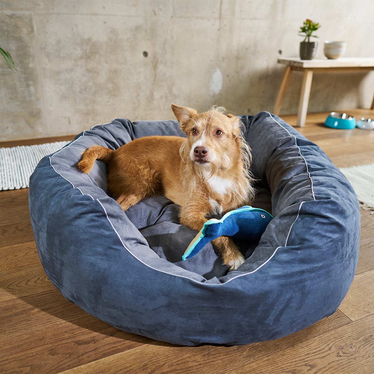 ZooRoyal Hundebett Balou günstig kaufen