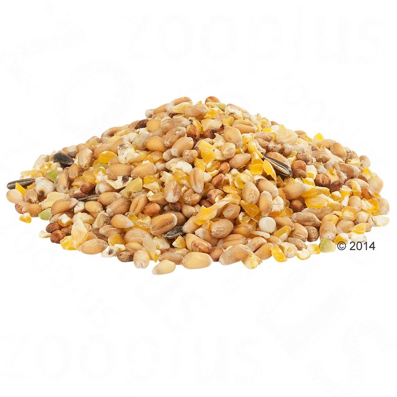 Versele-Laga Country's Best Gra-Mix Ardenner Mischung
