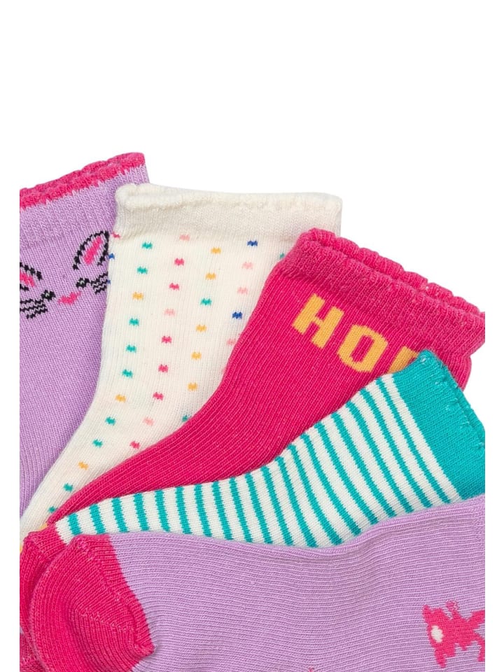 Minoti 5er-Set: Kurzsocken NBG SOCK 35 in lila günstig kaufen