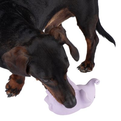Hundespielzeug Latex Elma