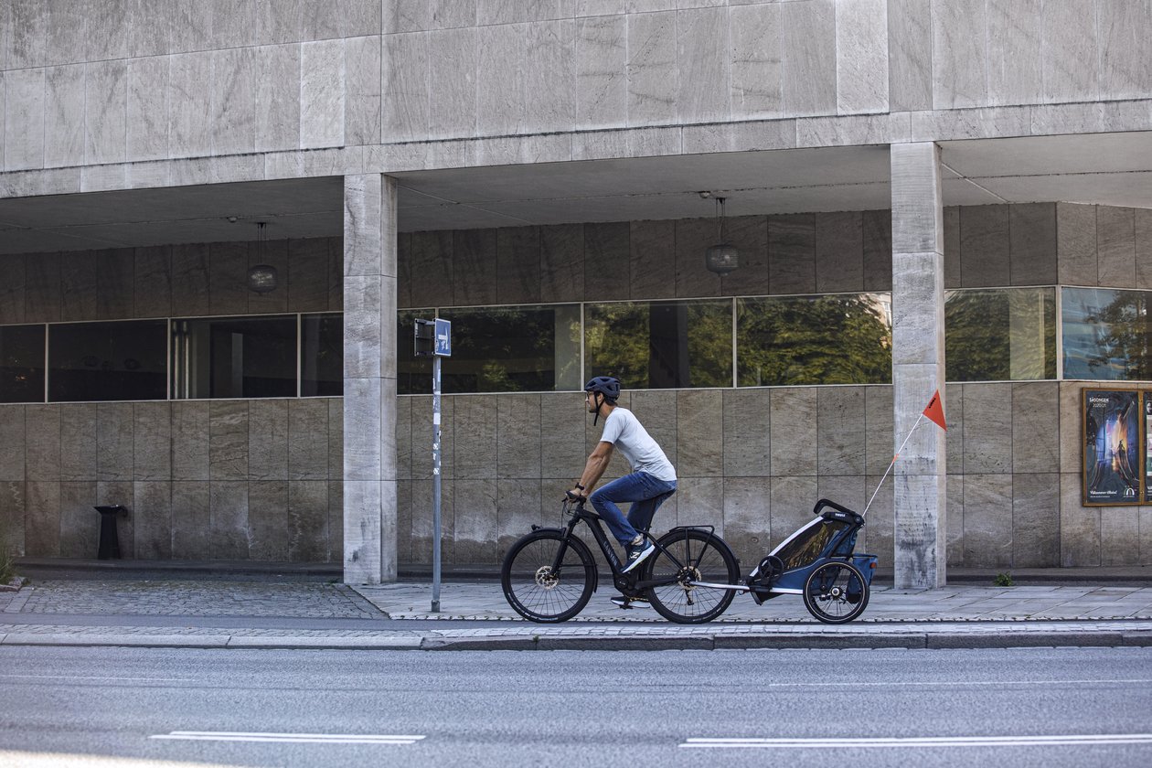 Thule Chariot Cross2
