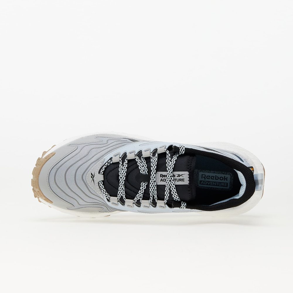 Reebok Floatride Energy 5 Adventure 100033641 / grau