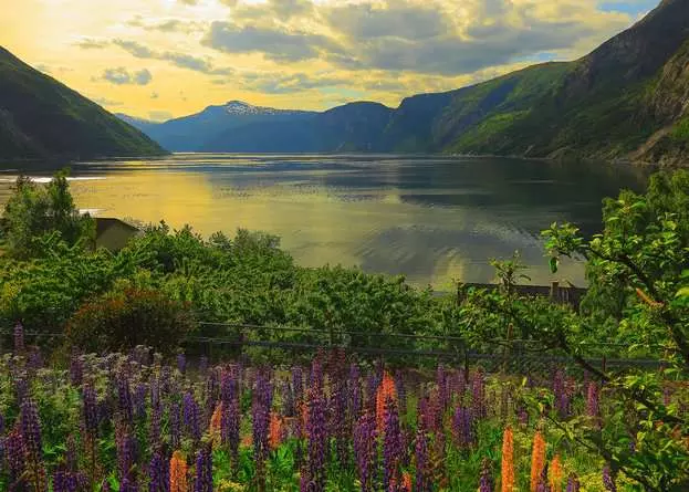 Puzzle 1000 Teile - Fjord in Norwegen