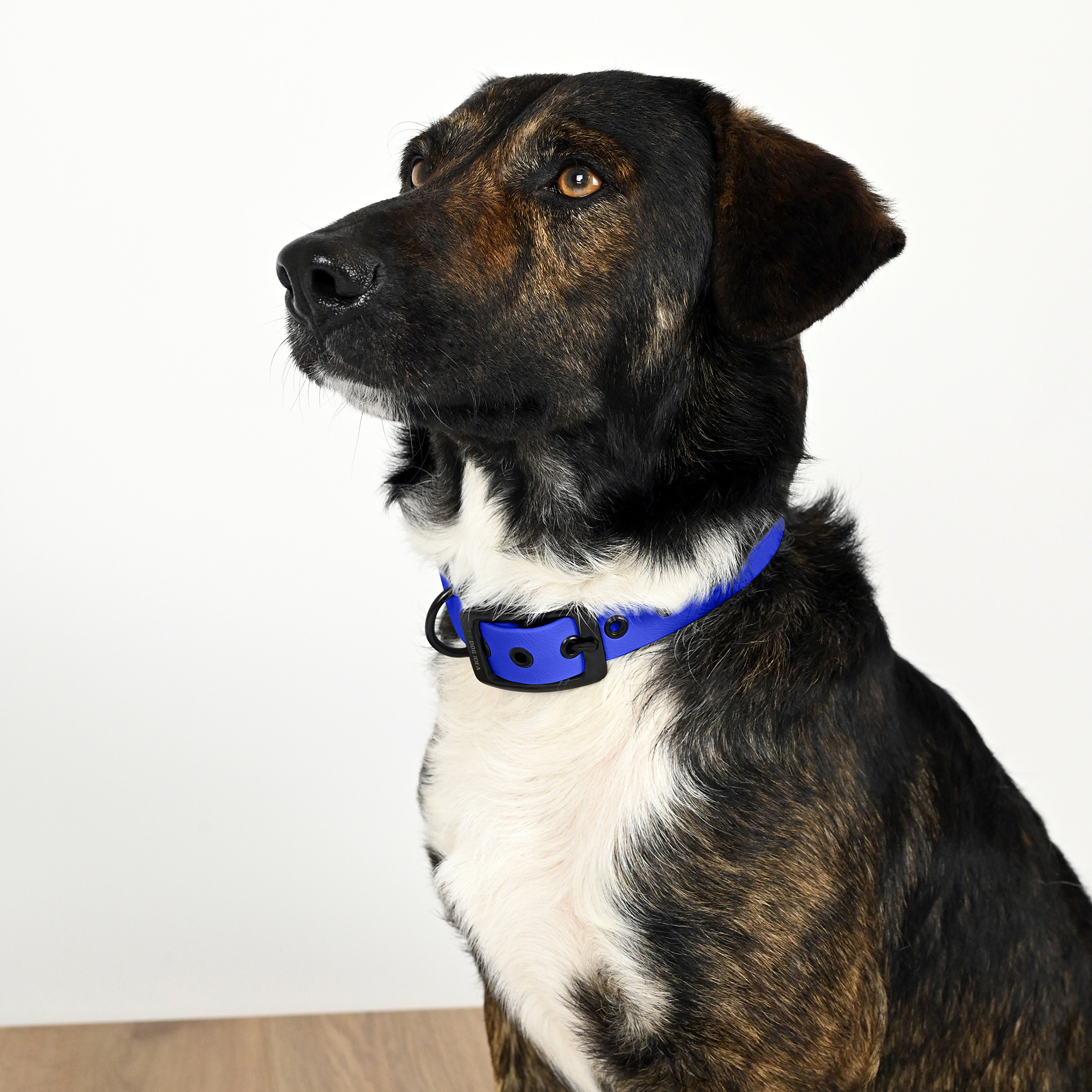 THE DOG IDEA Hundehalsbänder THE DOG IDEA Biothane Halsband Blau Schwarz XS