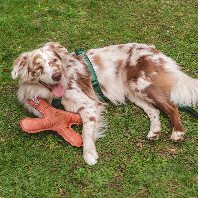 Nomad Tales Blush Hundespielzeug Flying X