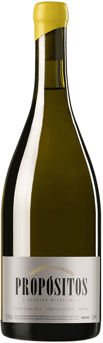 Michelini i Mufatto Mendoza: Propositos Chenin Blanc 2020