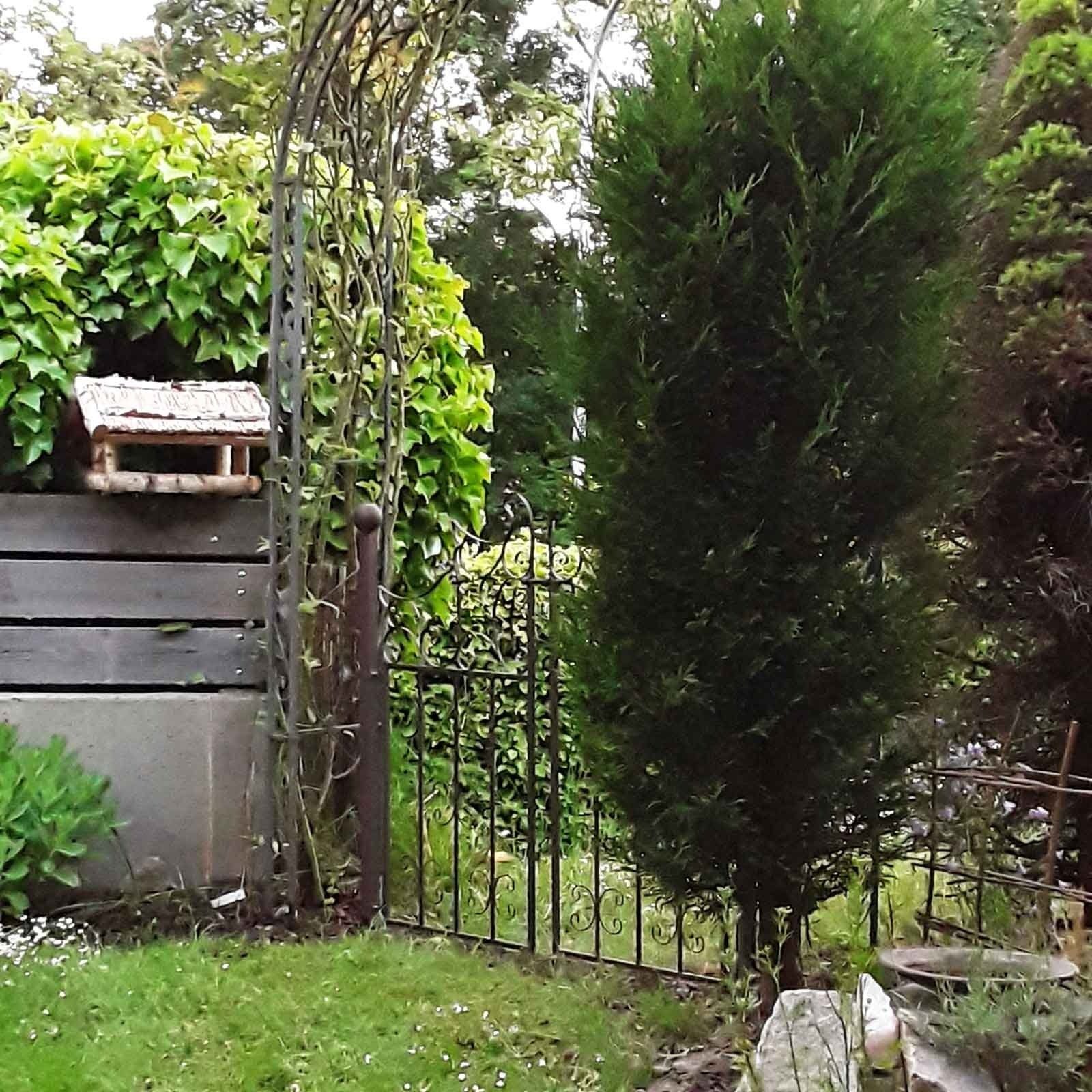 Aubaho Gartentor Dekoration Gartentür Gartentor Hühner Metall antik Stil Garten Tor