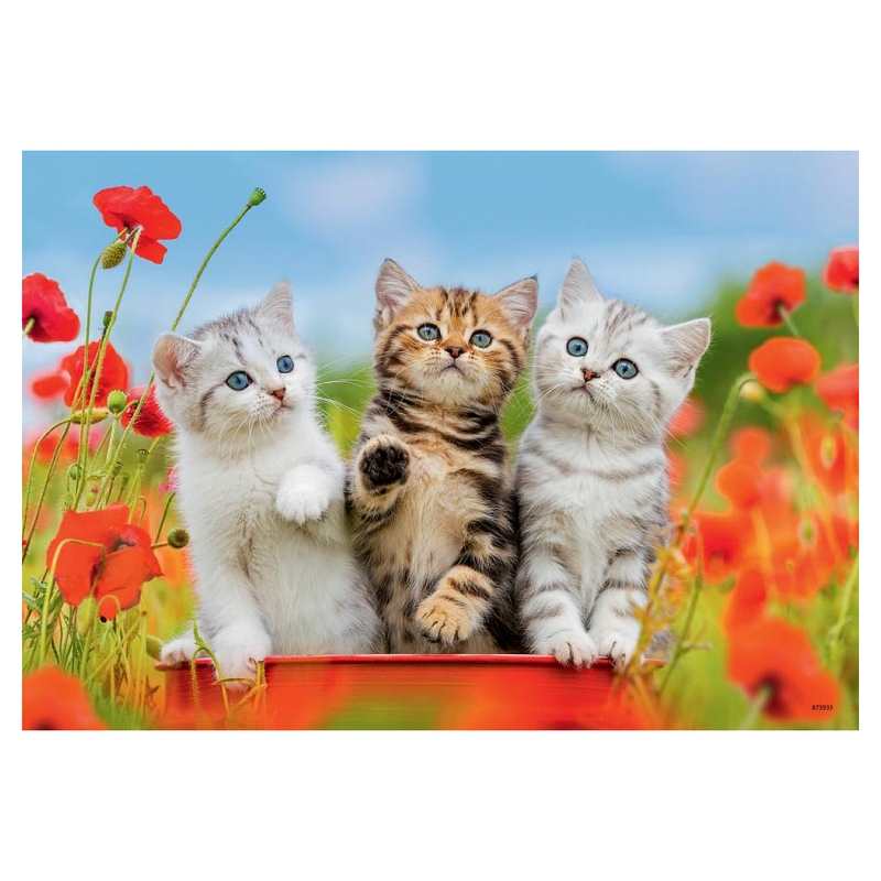Puzzles la découverte des chats 2x 12 pièces