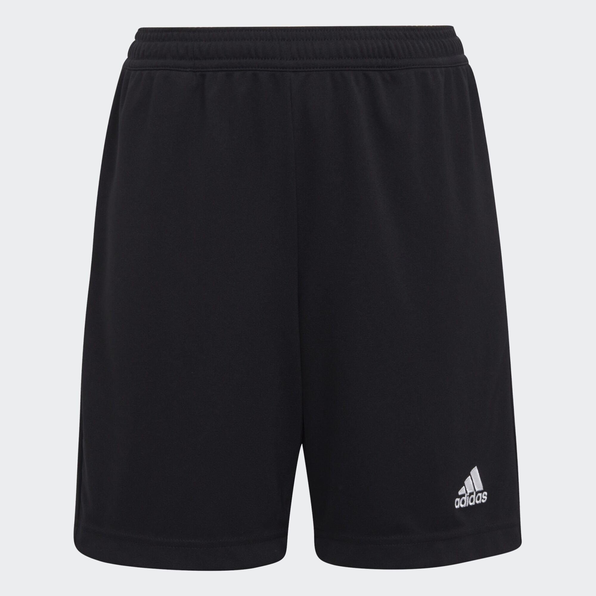 adidas Performance Funktionsshorts ENTRADA 22 TRAINING SHORTS