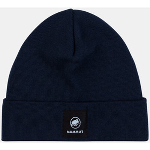 HERREN FEDOZ BEANIE