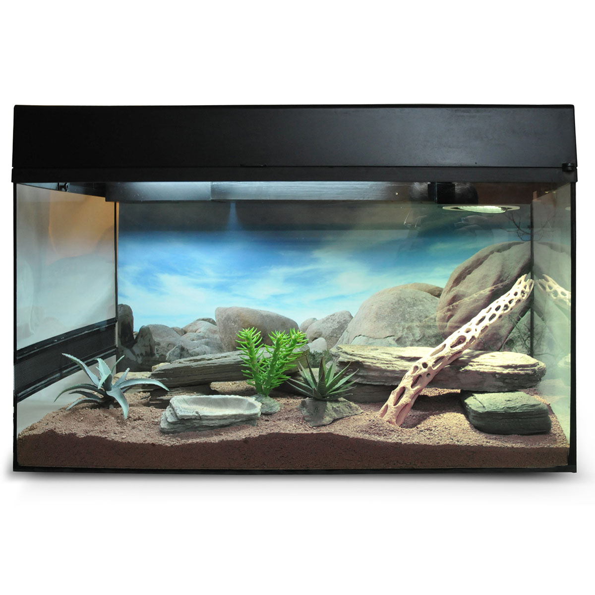 Lucky Reptile Terrarium Starter Kit 50 cm 