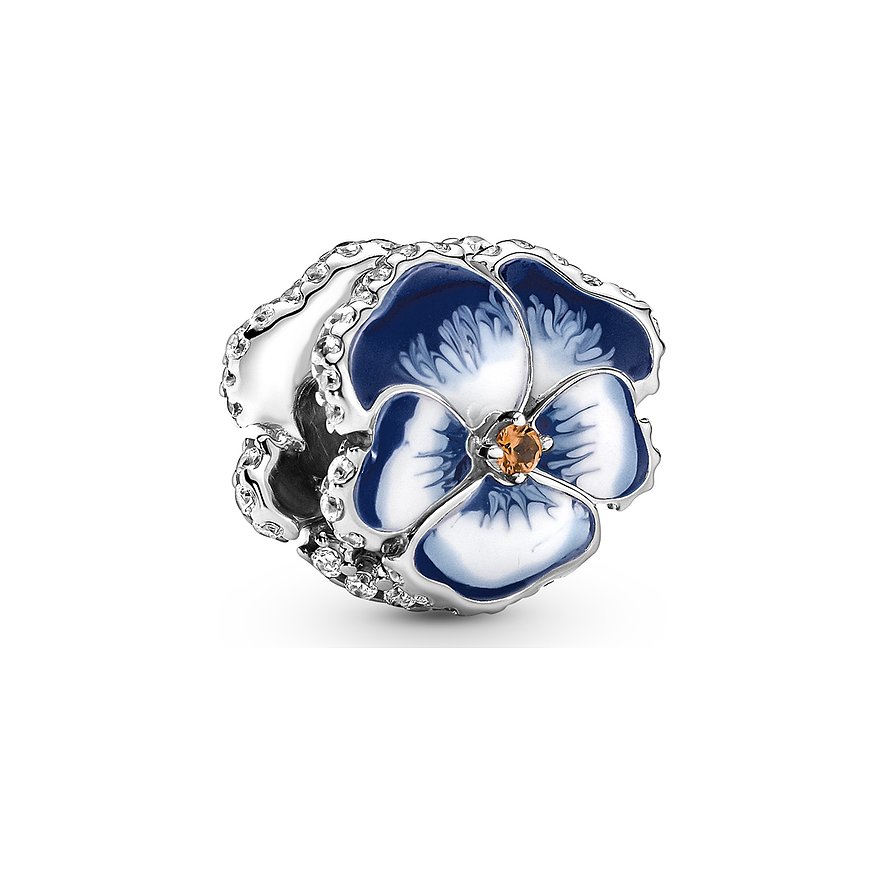 Pandora Charm Moments