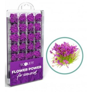 Scale75: Flower Power - Purple