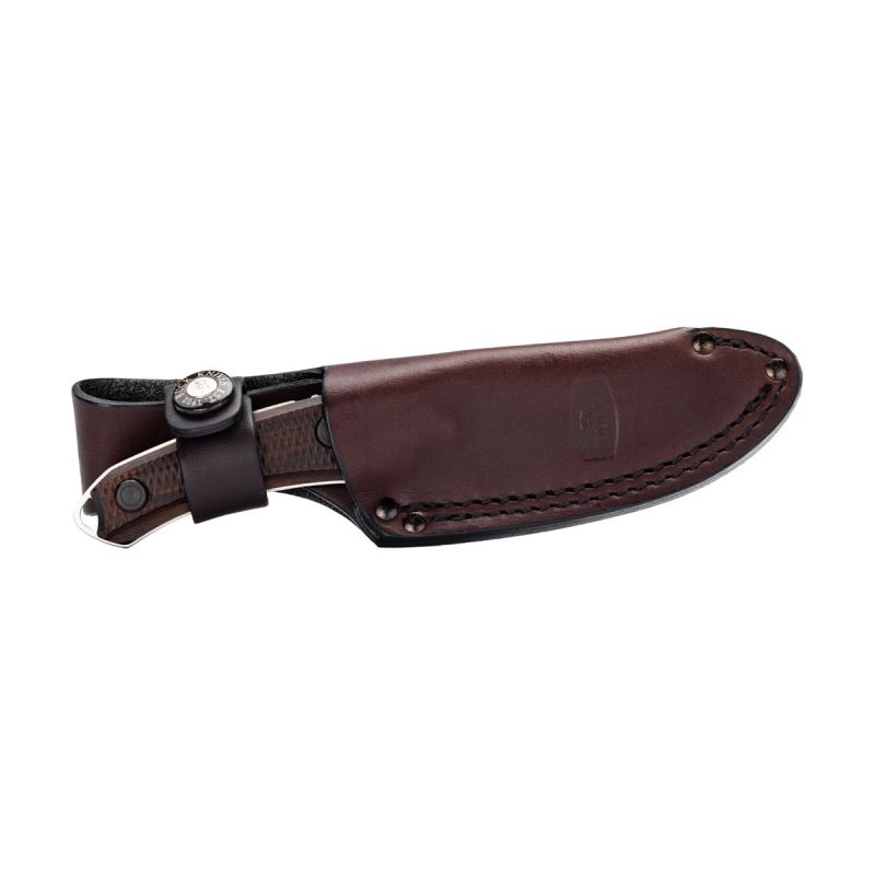 Buck Alpha Scout Pro Walnut Dymalux 662WAS