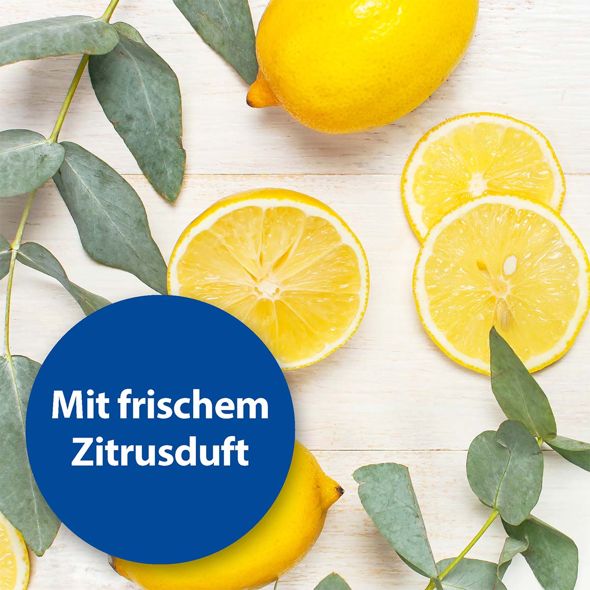 Bactazol Universalreiniger 500ml günstig kaufen