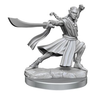 D&D Frameworks: Elf Monk Male