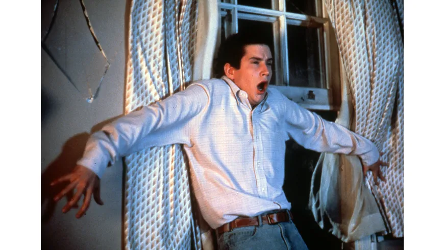 Die rabenschwarze Nacht - Fright Night