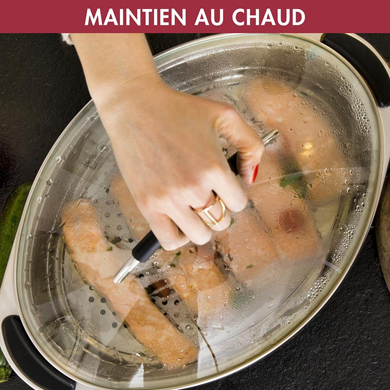 CUISEUR VAPEUR MULTIFONCTION