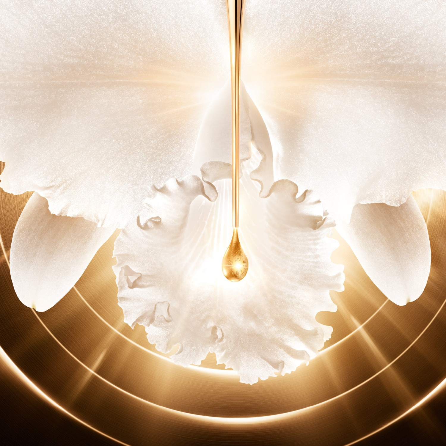 Guerlain La Crème