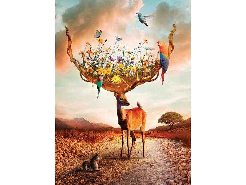 Puzzle 500 pièces L'appel de la Nature