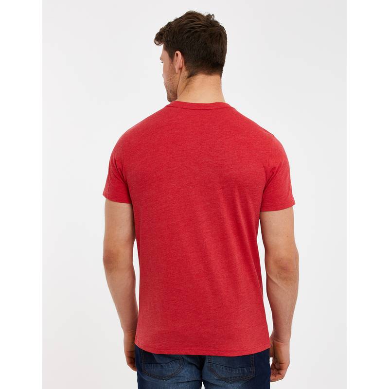 Threadbare THBLiffey Printshirt Herren