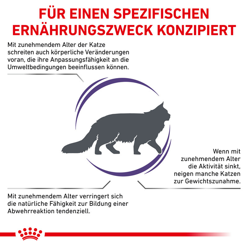 ROYAL CANIN Übergewicht ROYAL CANIN Expert Mature Consult Balance 3,5 kg