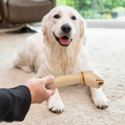 SmartBones Hundeknochen Huhn für große Hunde