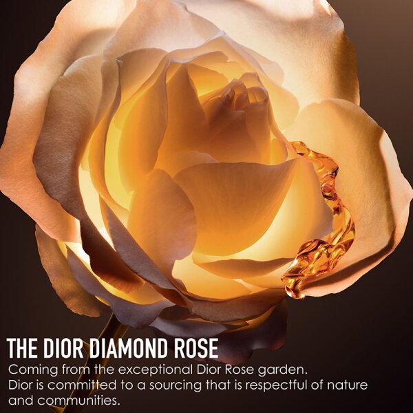 DIOR DIOR PRESTIGE Le Nectar Premier Gesichtsserum